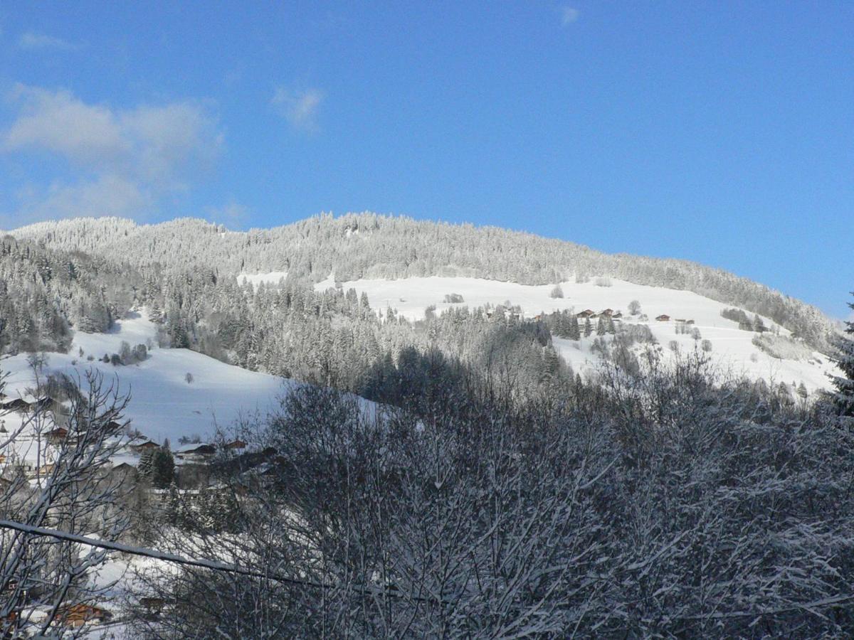 Petit Chalet Individuel De Caractere Megève Kültér fotó